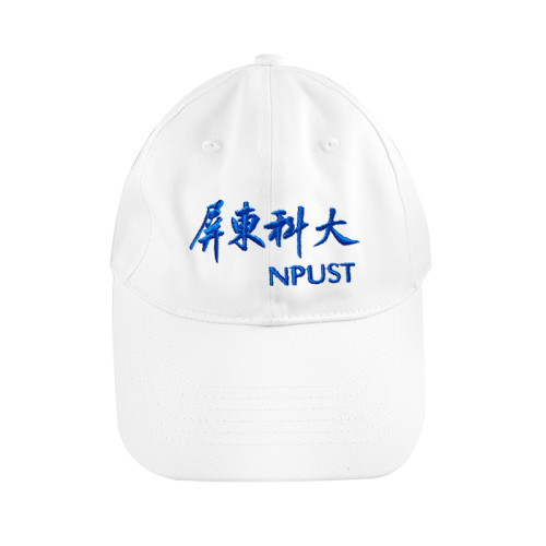 H13-電繡老帽 H13-電繡老帽